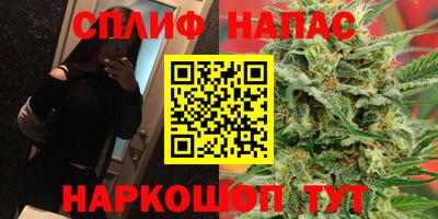 Альфа ПВП Можга