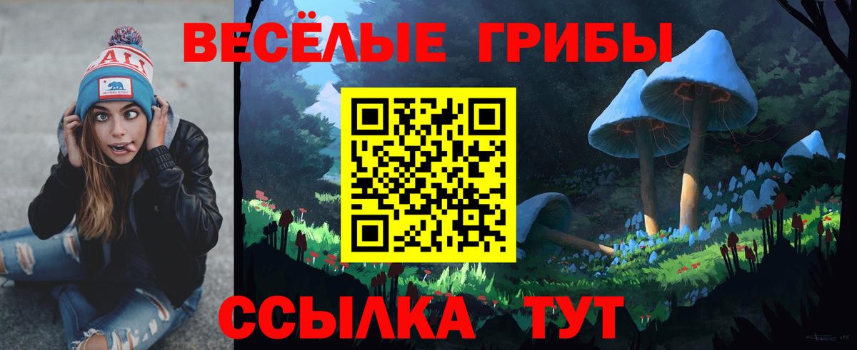 Псилоцибиновые грибы мухоморы Северск
