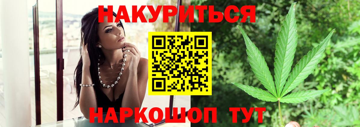 Бошки Шишки семена Северск